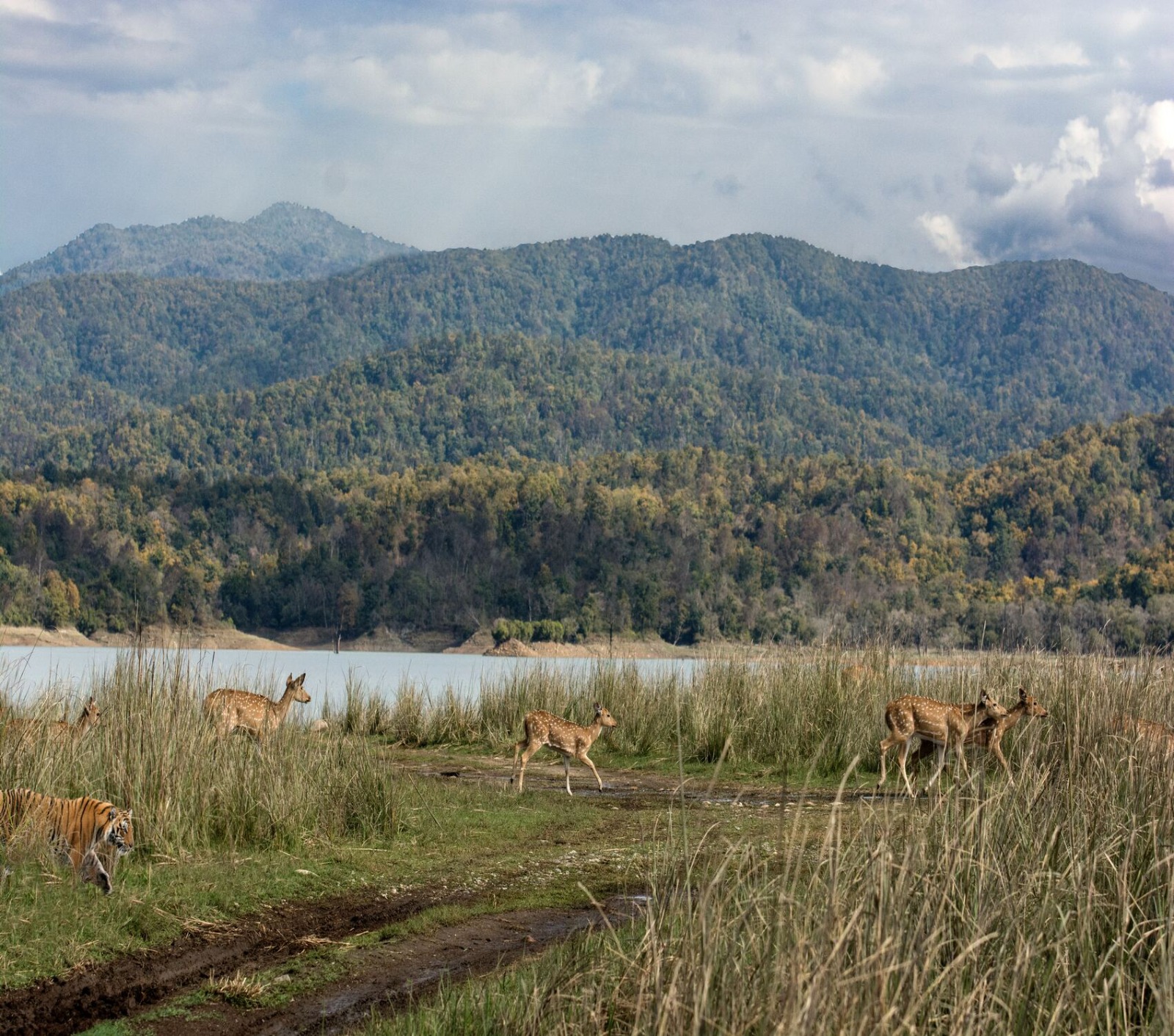 Corbett 3N/4D Tour